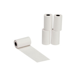 Bobine papier CASIO P5825E (par10)